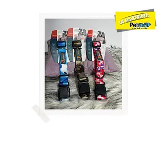 Collar Phyllis, Broche En Pasta Negra De Plástico / Talla S