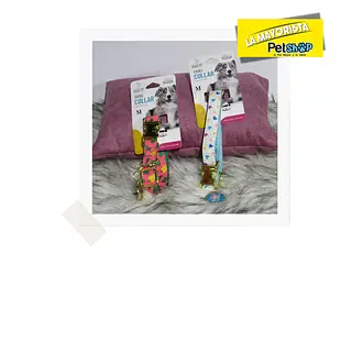 Collar Praga Pet, Broche Metálico Dorado Con Placa/ Talla M