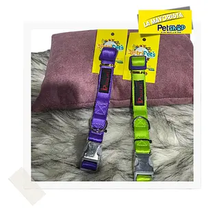 Collar Praga Pet, Broche Metálico Plateado / Talla M