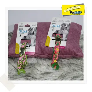 Collar Praga Pet, Broche Metálico Dorado Con Placa/ Talla S